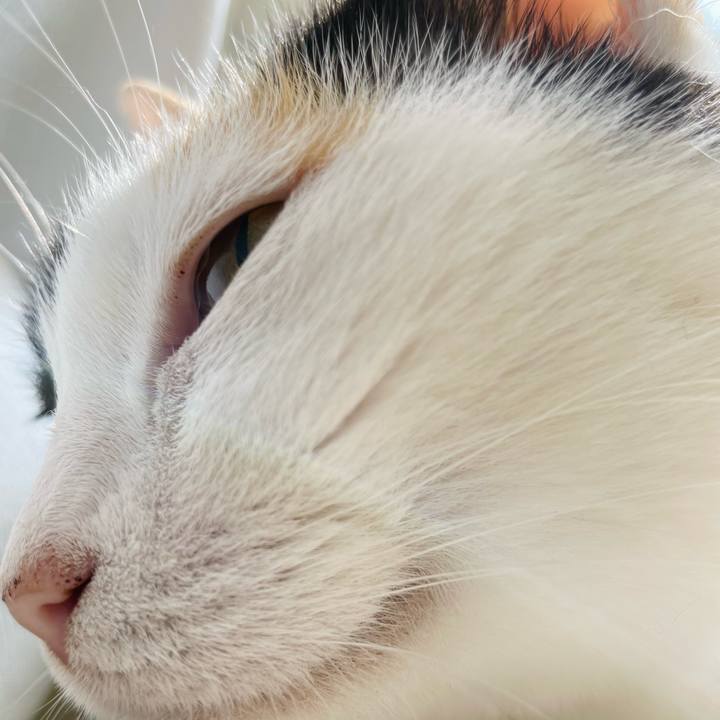 D5fdd9b7 a295 4291 9404 3117d13407de 1661567714955