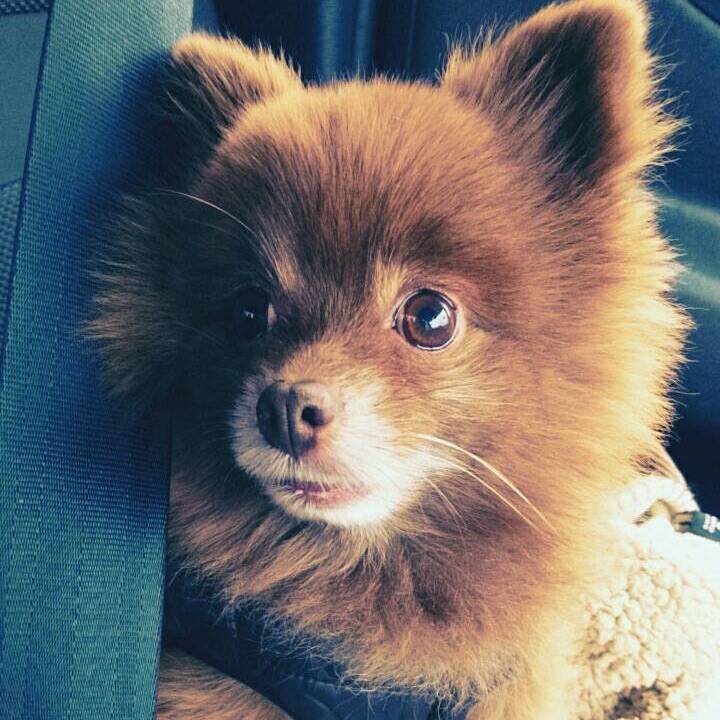 D5fdec27 0910 4624 8e68 93f4b67e670f 1514772925208