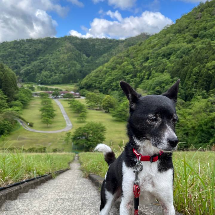 D5fdf3d8 187c 43bd b30a 226277d445c9 1684885638167