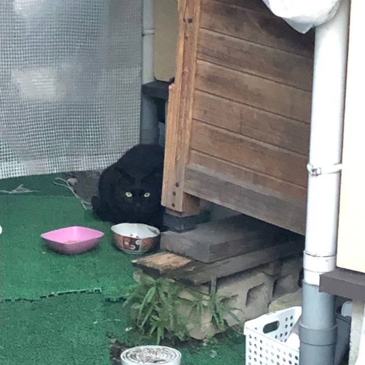 D5fe0cbc d47b 4c74 9dba 1851a1cedf38 1551460471313