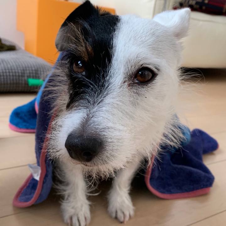 D5fe4ca6 7620 48de b777 5e63abcb0c42 1547535978019