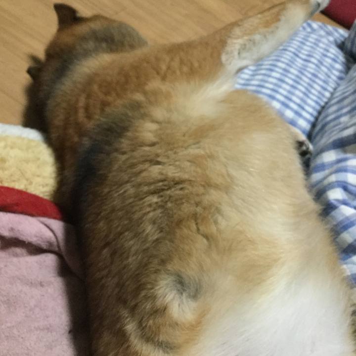 D5fe544c 84c6 4cfa abf9 6fa81abc44c8 1581755532250