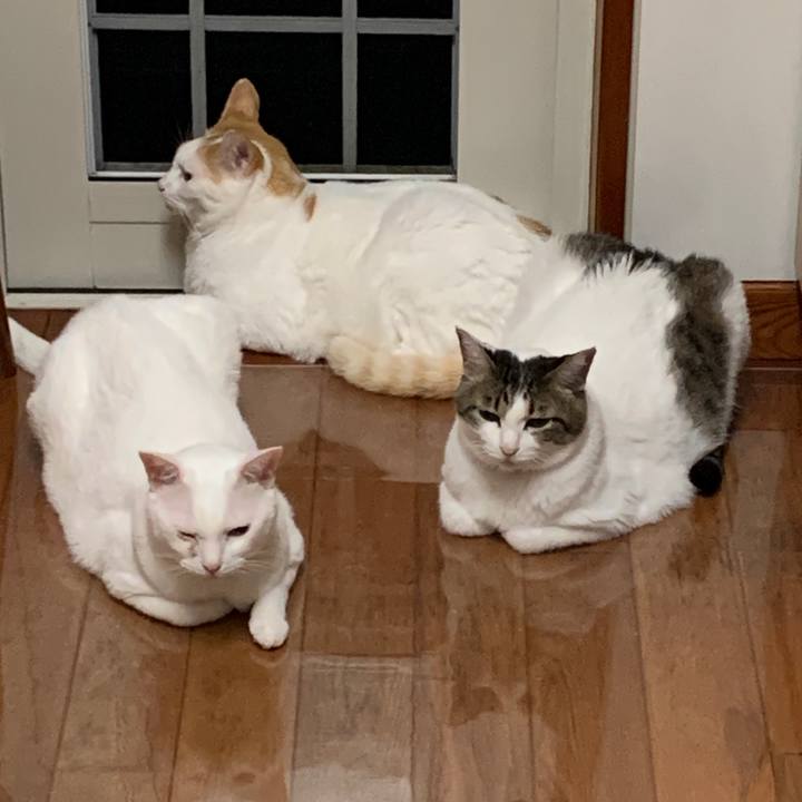 D5fe6930 35ab 4620 9e0b 249ebdc64899 1660651428726