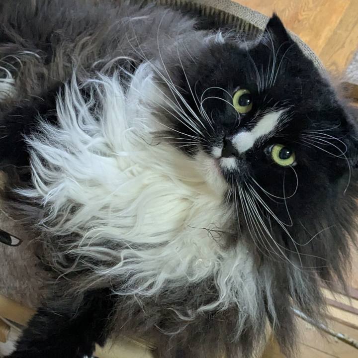 D5fe7859 5b88 490e ba99 84ad8a4a8cba 1766009431114