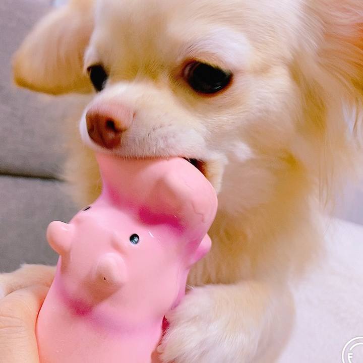 D5fe85c8 6c13 4241 b35e 74447accd6da 1624532457447