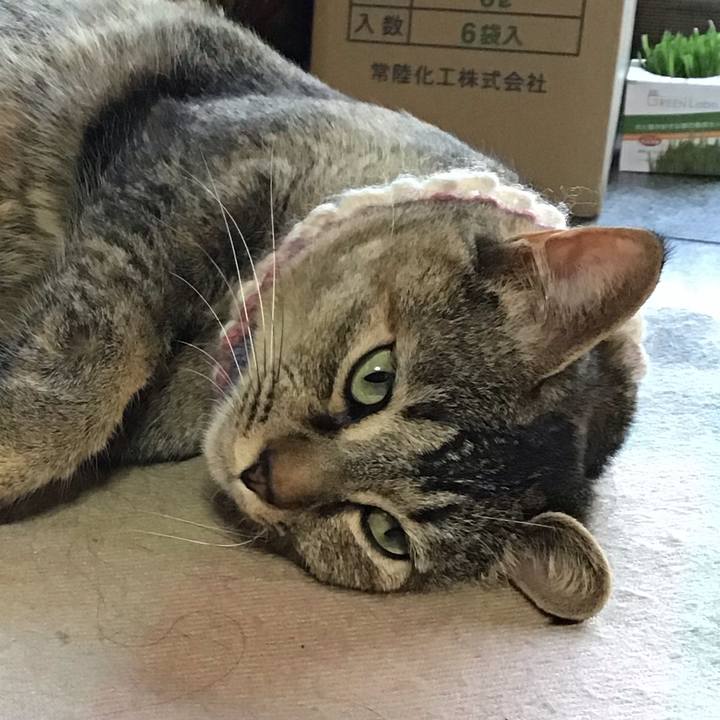 D5fe975e a2b0 41a3 9045 48eeff3fe320 1618998830083