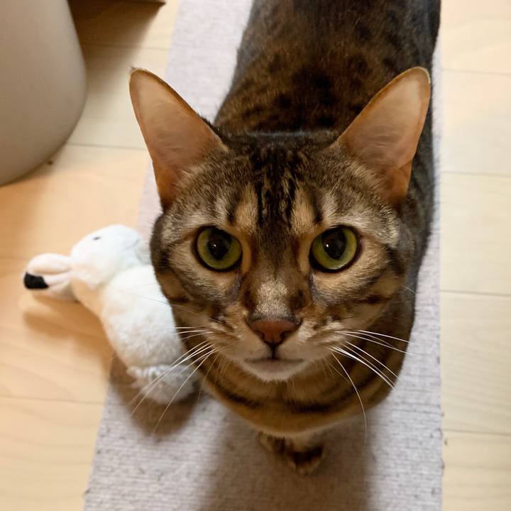 D5fe9f25 2f29 452d b056 81133e023ce4 1585778655621