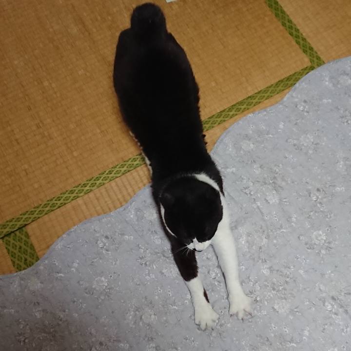 D5fee066 b2d3 4e62 b991 63270015d7da 1619734852061