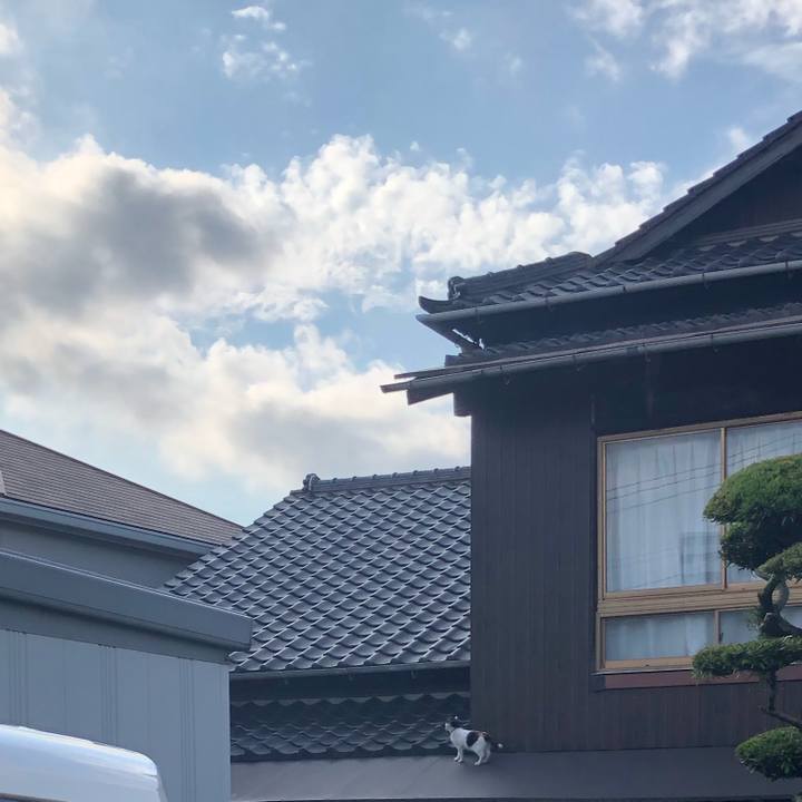 D5ff1e13 5ee7 45ce bafe f384f8acc24a 1626388775451