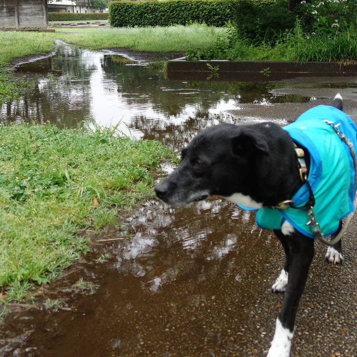 D5ff3149 6050 48b5 85b3 0e5053e60e89 1686270931415