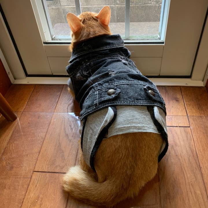 D5ff386a 12d0 4102 8b43 b82f426088d0 1659477018050