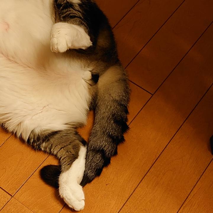 D5ff8eda 4850 4fb4 81fa 77cde6f01d79 1660474706892