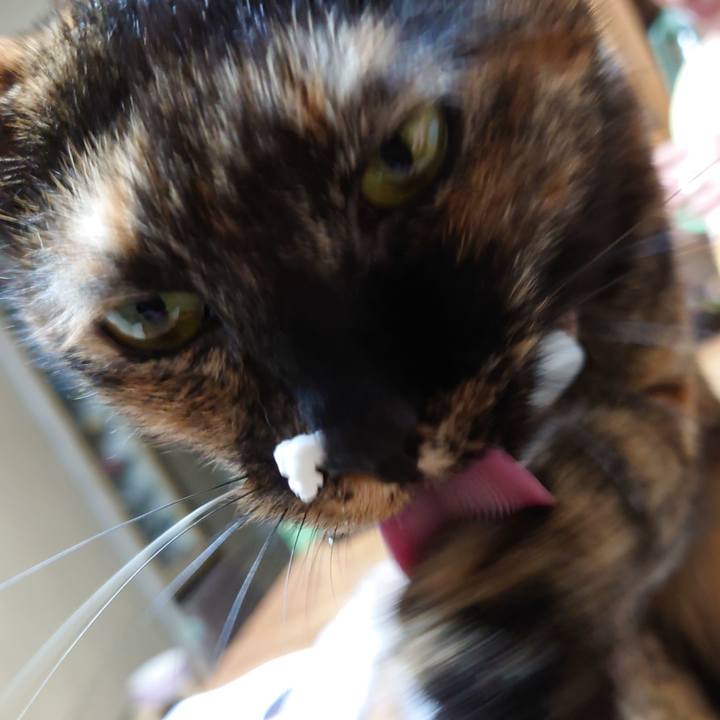 D5ffa4cd 9c61 4783 8b71 fcf50619f9ce 1658833302360