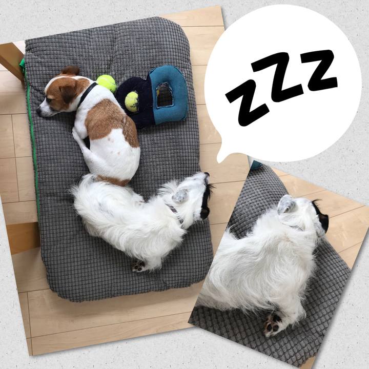 D5ffc89a 069c 4ecc b554 c926f5e1e30e 1527648945876