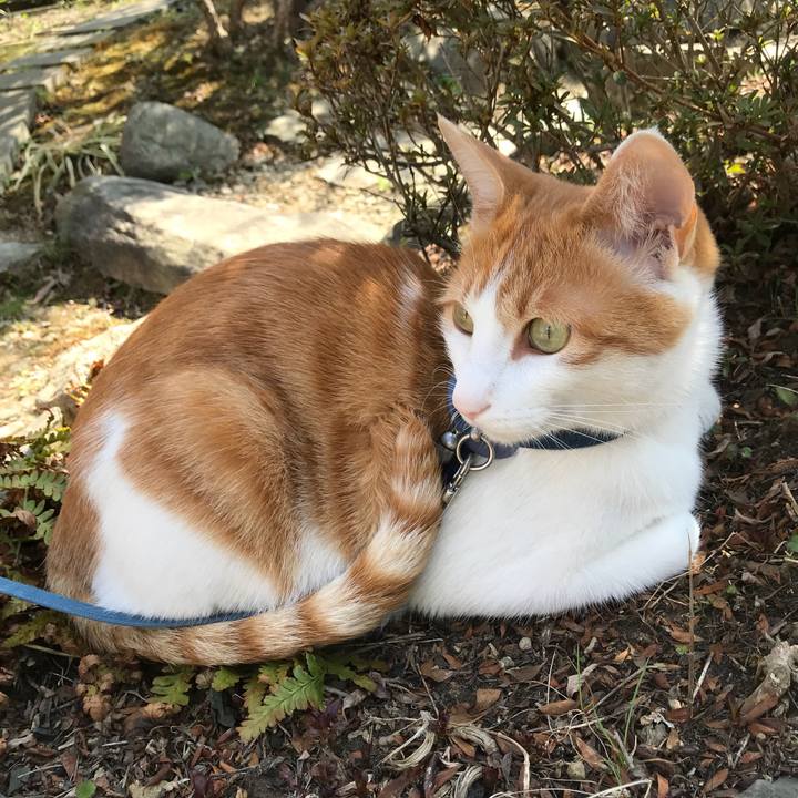 D5ffda7c 533c 4795 aa00 3704c67b132f 1522212567334