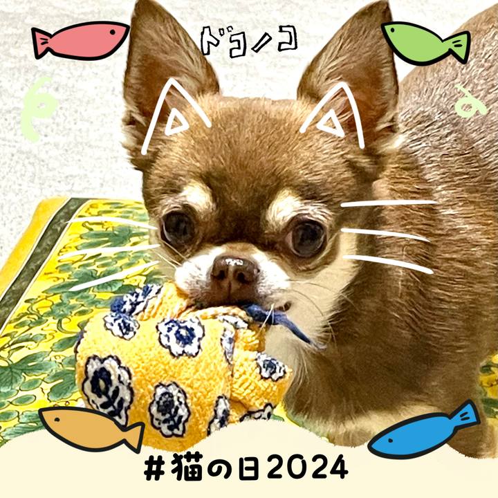 D6003ec3 de5b 4006 ac1e 5f63c51853ca 1708563639173