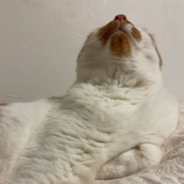 D6004850 d2b6 4ef0 839d 8822f7024c47 1657365734338