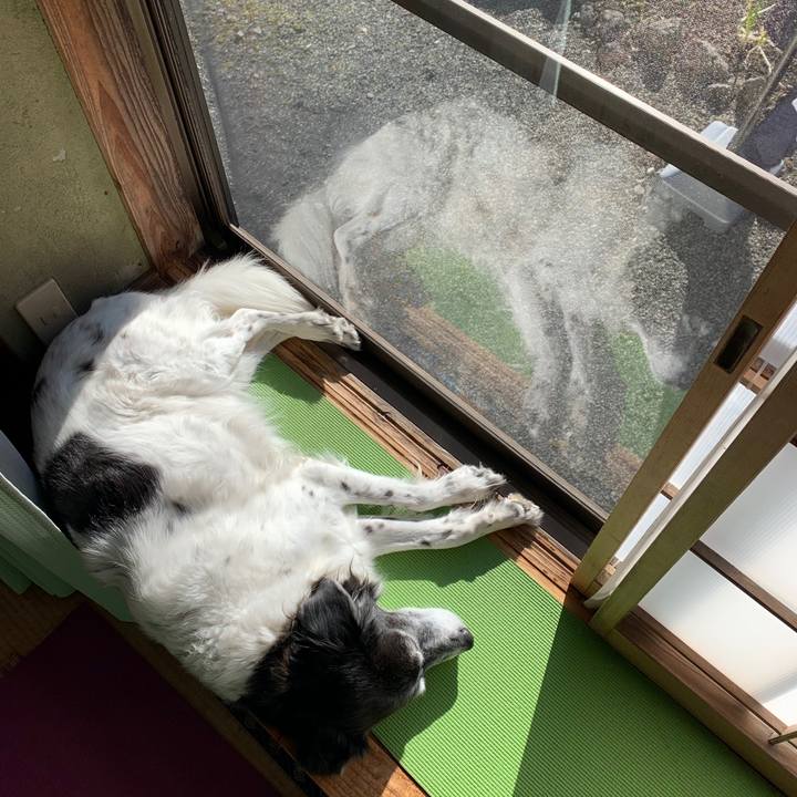 D600ee4c 6605 40ca 854f a549e3e3e11e 1611121909644