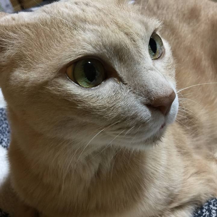 D601224c 525c 4742 a7cc a75b0121c5fb 1663500281003