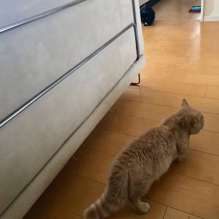 D601253d 2e05 4adb 9e54 7cb6070c6ee2 1521331372227