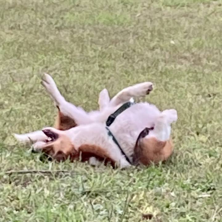 D6012f10 2970 4bd4 b7b8 b84d6cbd43fc 1697417466969