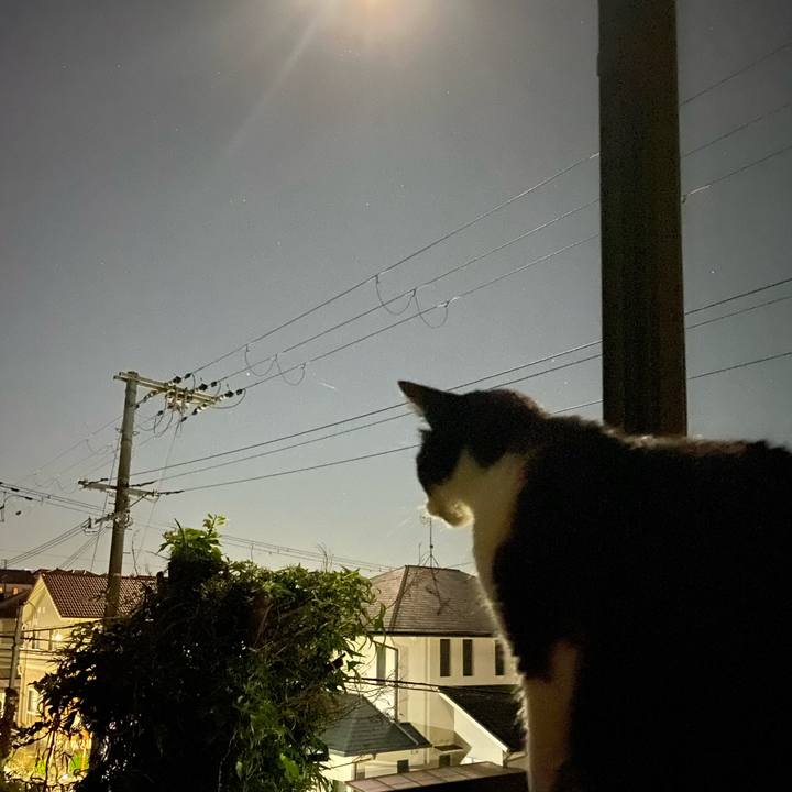 D60160d3 8c61 4b52 904a e0de07abf7a2 1759699987602