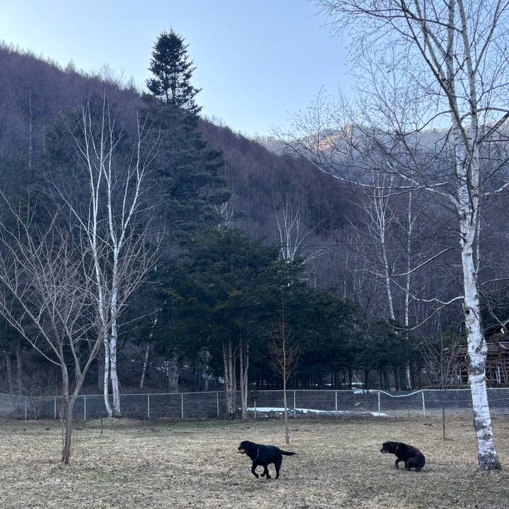 D601ad82 b5f5 4864 b05c d40adac642d0 1774183491986