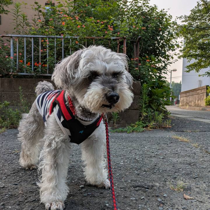 D601ba30 9664 4ab3 adc2 e329821f27c2 1751614249378