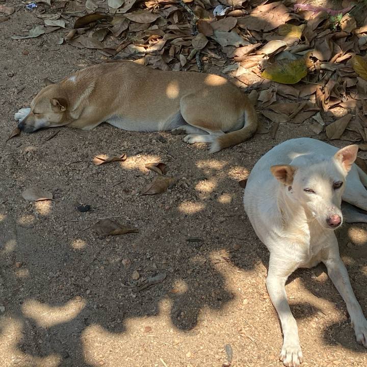 D601dd10 9144 40aa 9560 b4382f6d555c 1581239775318