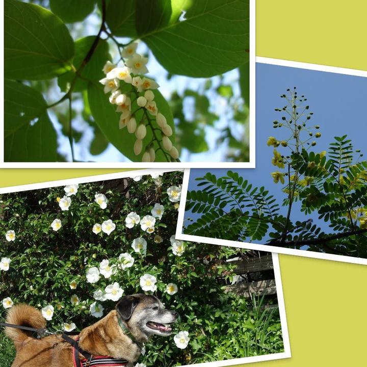 D601e28a 9185 4fd1 b801 93e46b9a8edf 1524274855759