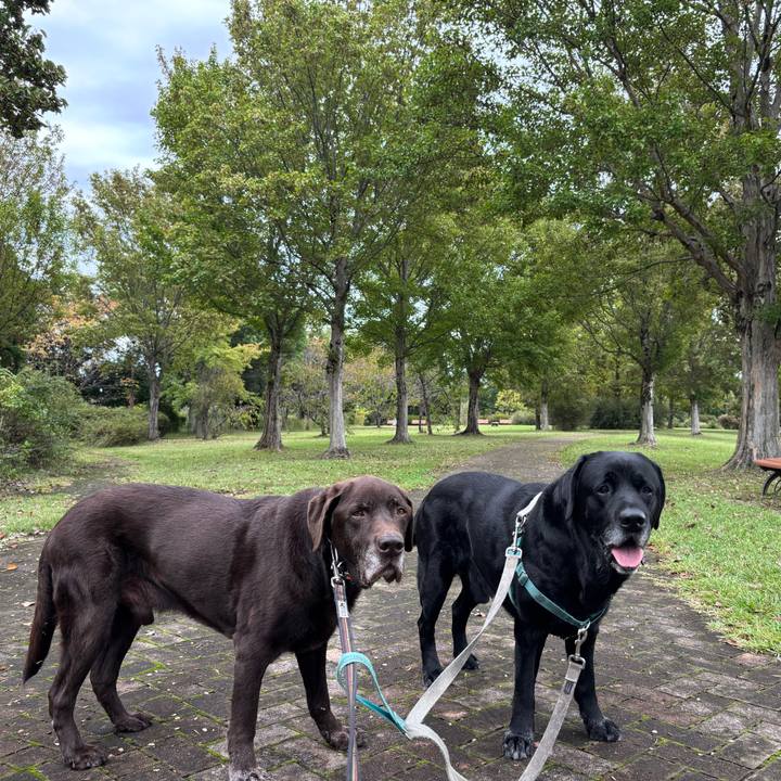 D601eef8 4f62 47ab b8b0 b8d74cde1539 1760878351219