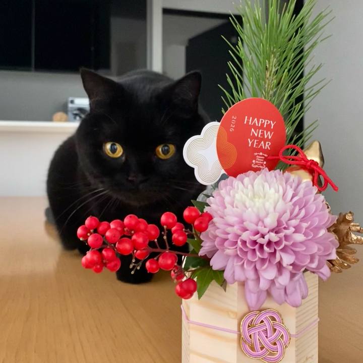 D6021ce5 2e88 4869 b89e 909378abdc87 1767232989236