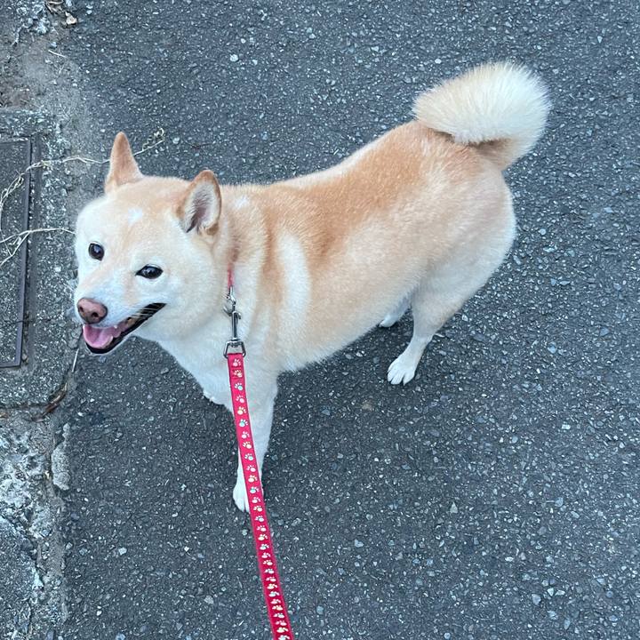 D6025fbf 2f37 44b2 bef8 4a8ea707c887 1693393885772