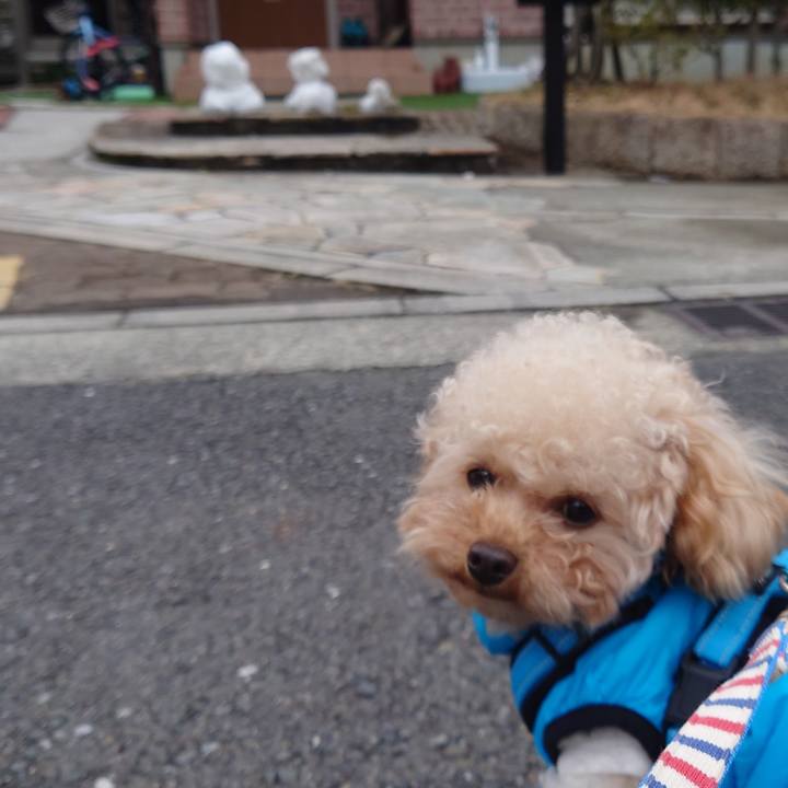 D6026310 4c50 4cac b51c 4c103dc76fb1 1770623465516