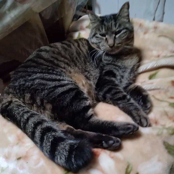 D6026aed 5b42 4155 9f3b 74af5fc02fe4 1673566046502