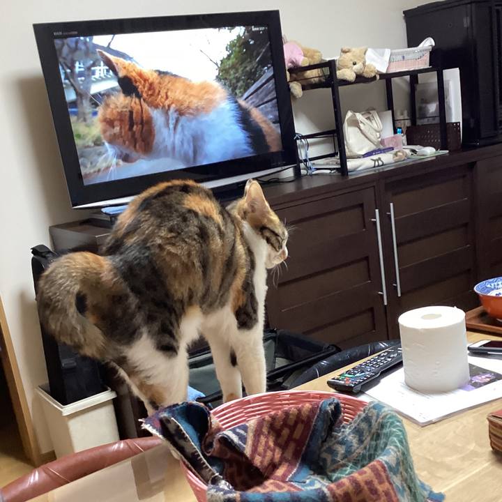 D60286b4 6c72 4bcb 97a2 f7ed0ccd3be9 1646907048784