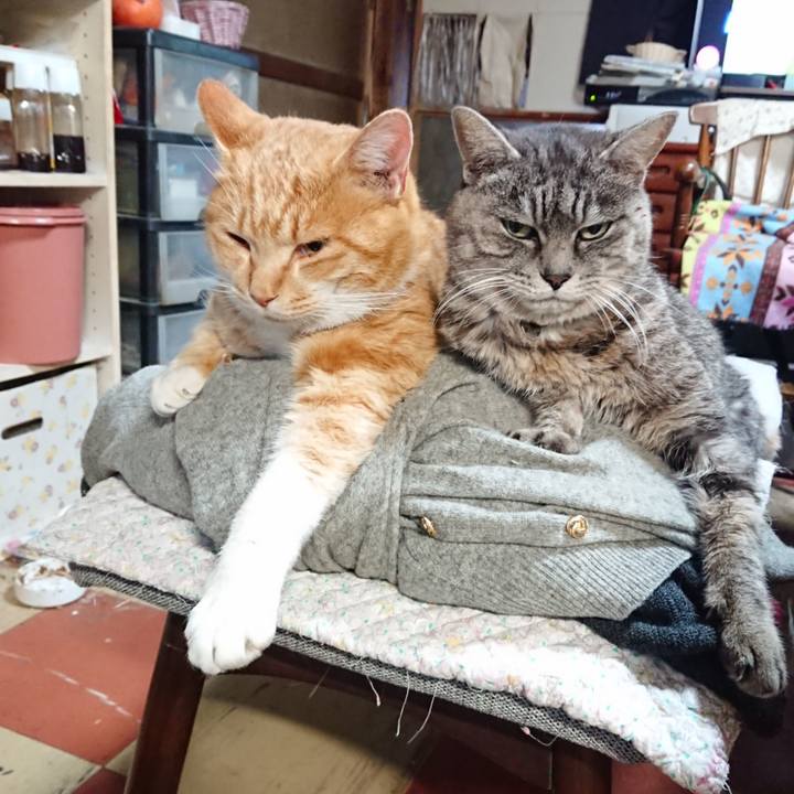 D602ba7e 8d64 440c a7ca 5c69a720570c 1576879863730