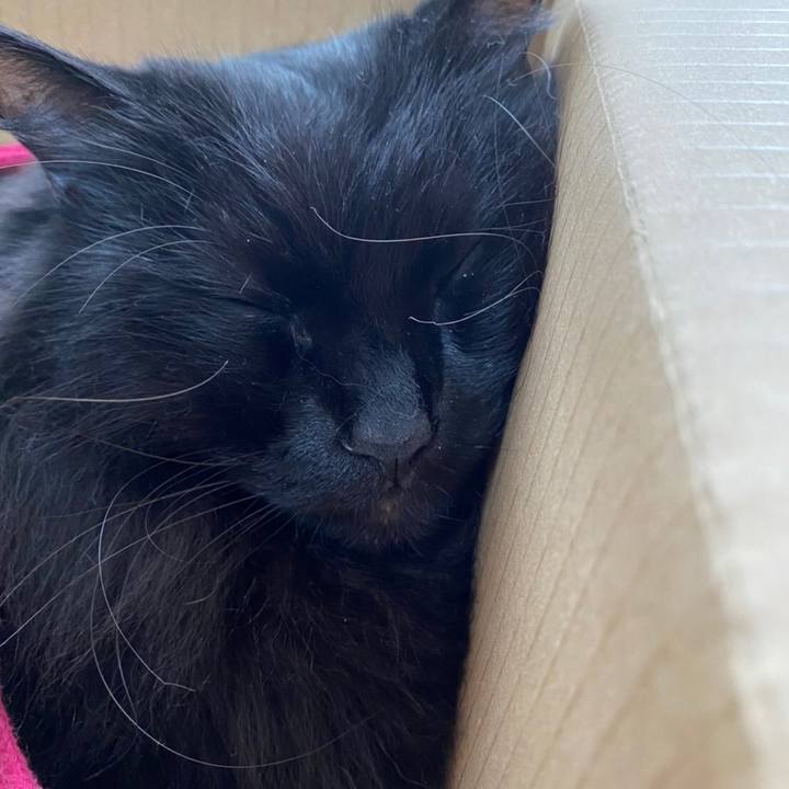 D60311a7 1a86 429c b50b fb577f763c7f 1577455972453