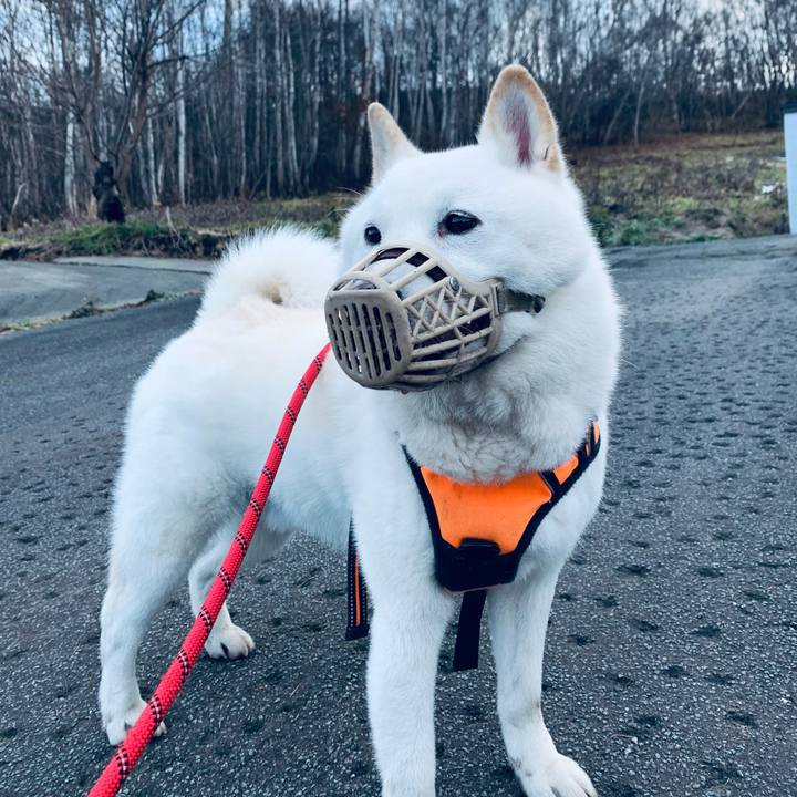 D6033cdd 1952 4d0c aa5e ad4ca2f84779 1638938654056