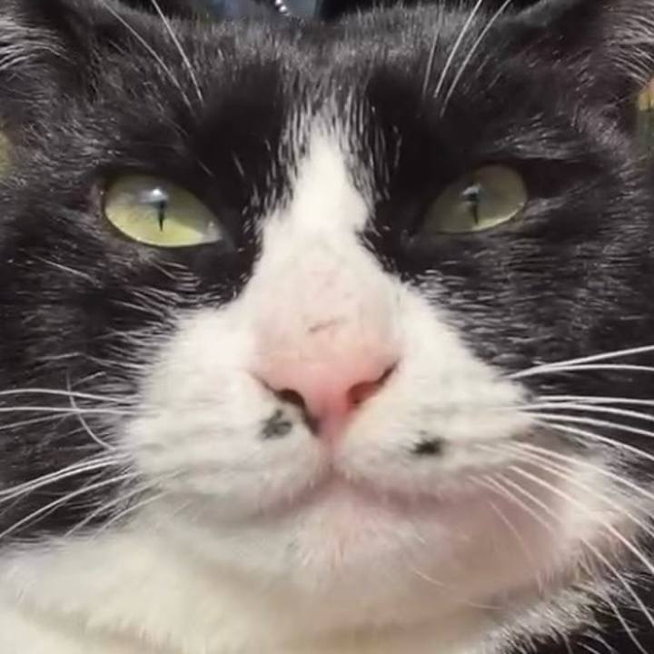 D6036fc7 e6af 46f2 9a99 cb69a3599c9f 1738727646745