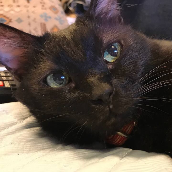 D60386d4 ab6a 4dd5 b7c0 b81556345165 1528961426415