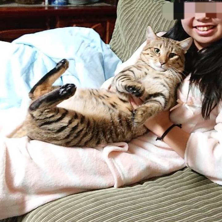 D6038bfb a03a 46f9 a501 7a75806492a0 1583558997497