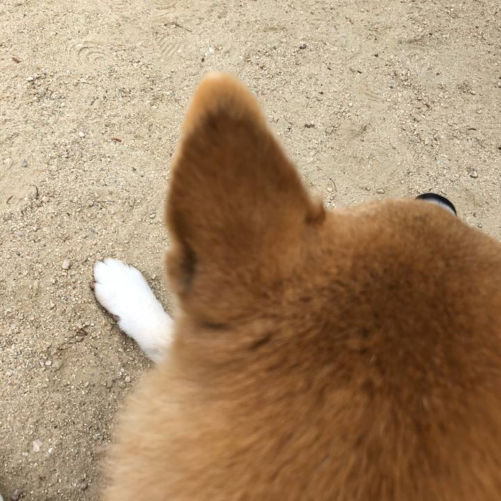 D6039d02 e59d 4f5f be33 ae3de41af624 1558074664502