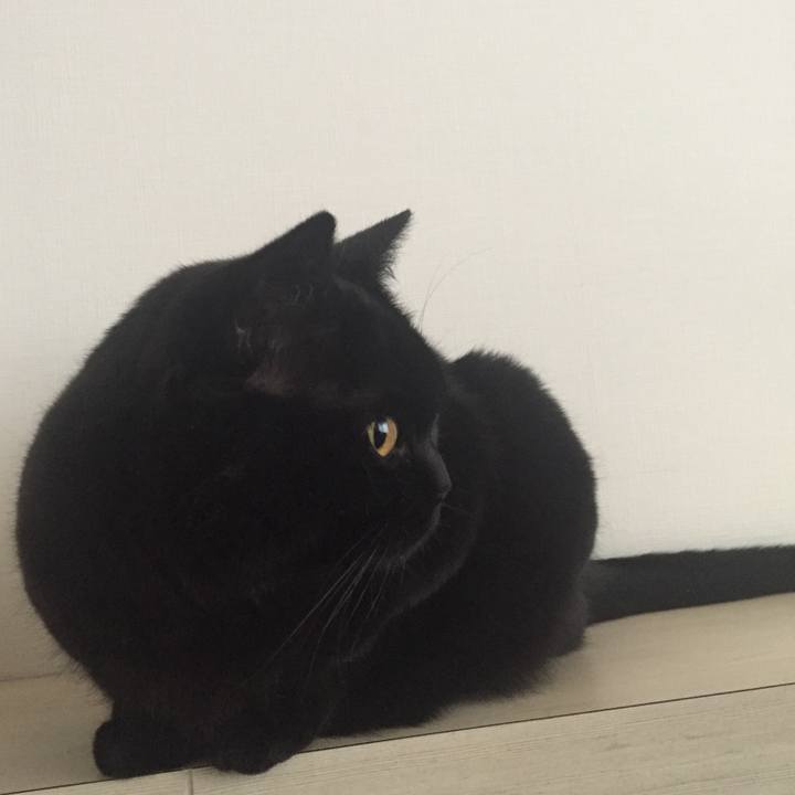 D603b3d1 0b31 4fcd b986 803ceea2c1e6 1527729307866