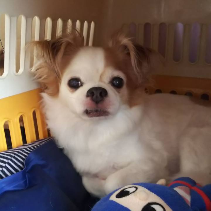 D603d8e0 0f68 4f80 b78a 12159583354f 1597027780088