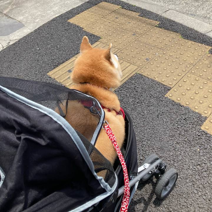 D603d9ad 60fa 473a bfec 38d1ef8d440b 1623406299763