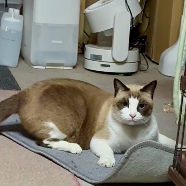 D603ea42 e967 4087 9058 327087f63e8d 1764757539193