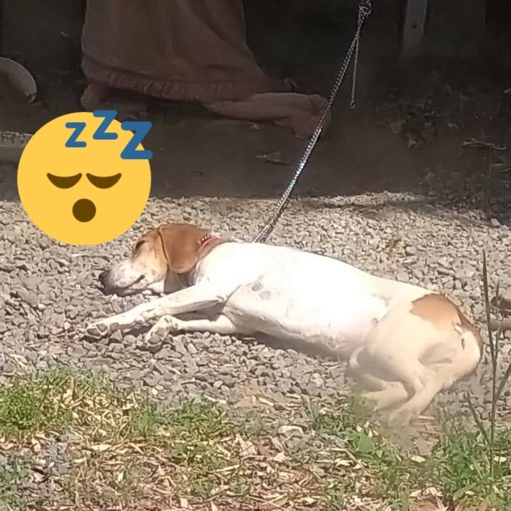 D603ff28 29c5 4c9b b92e 4a2975524c7a 1619173070816