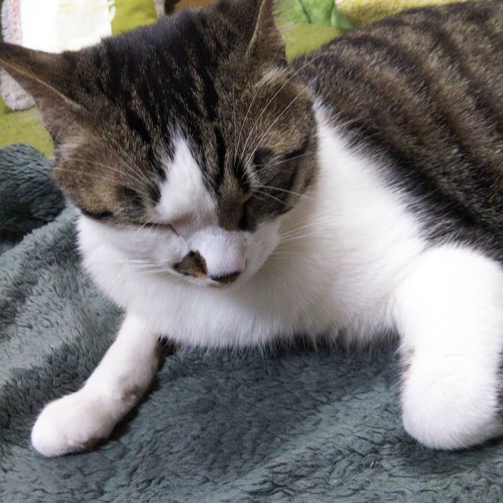 D603ffe3 f639 40ad a0b2 9ffd5944b560 1647568330350