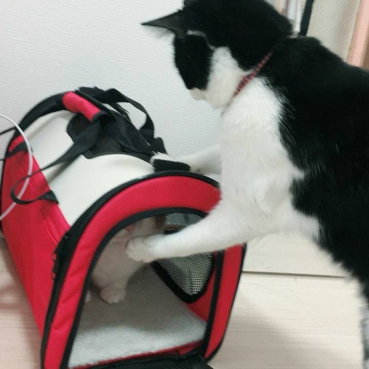 D60400c0 576b 4e08 8ffa 00a592f735e6 1525566131155